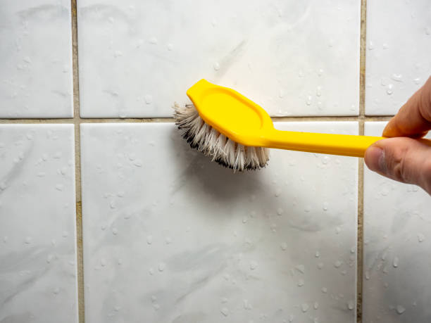 Best Home Mold Removal  in Browntown, PA