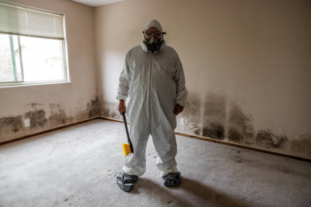 Best Attic Mold Removal  in Browntown, PA